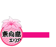 �������G���A